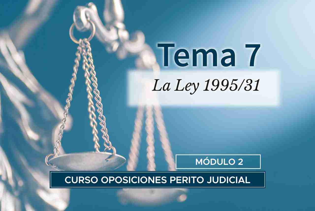 Tema 7. La Ley 31-1995