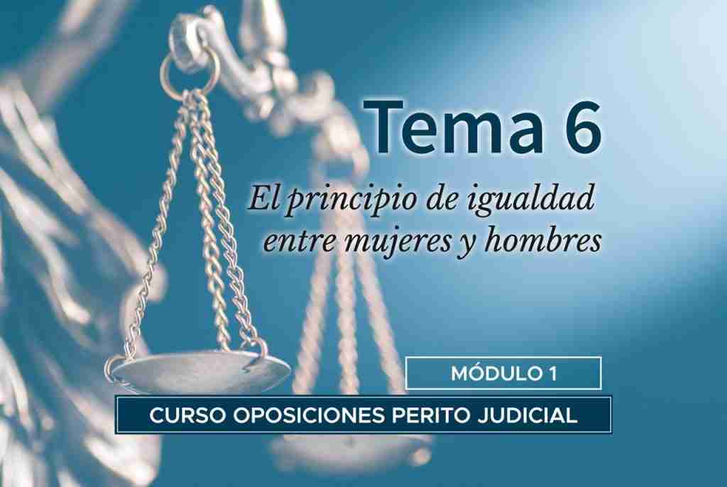 Tema 6. El principio de igualdad entre mujeres y hombres