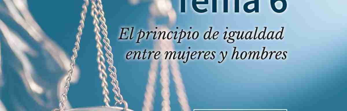 Tema 6. El principio de igualdad entre mujeres y hombres