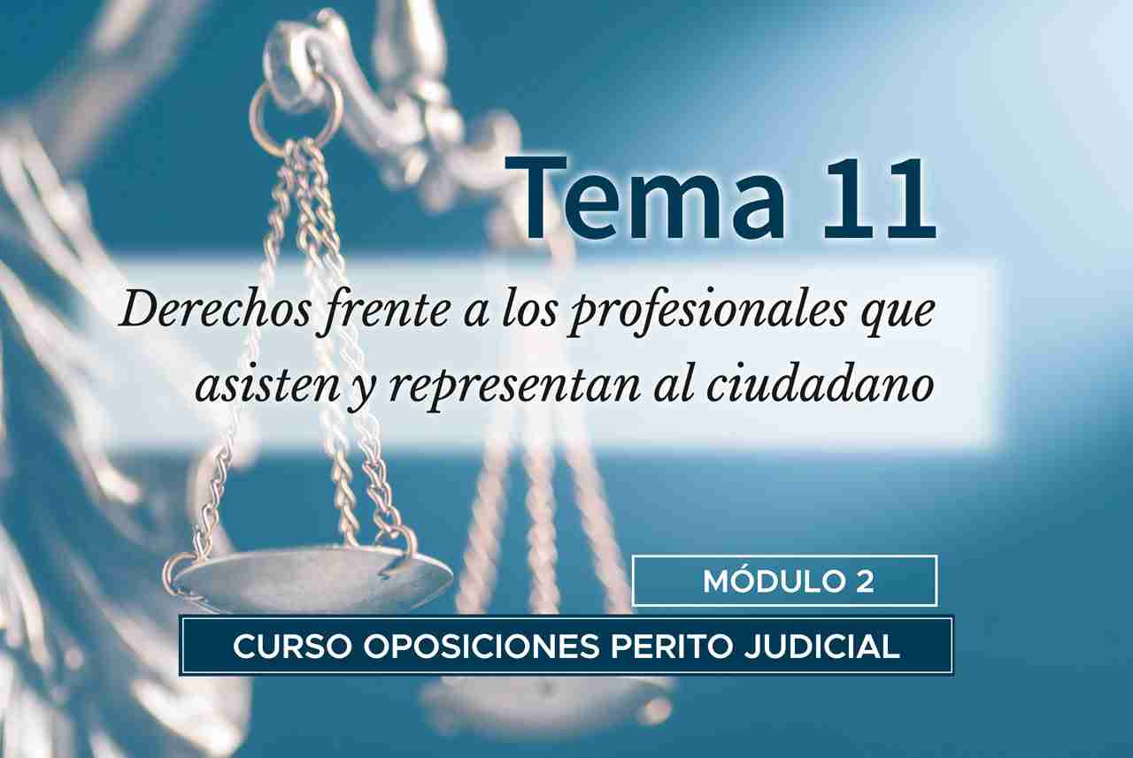 Tema 11. Derechos frente a los profesionales que asisten y representan al ciudadano